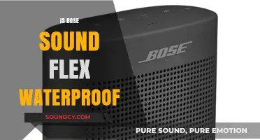 Is the Bose SoundLink Flex Waterproof? A Comprehensive Review
