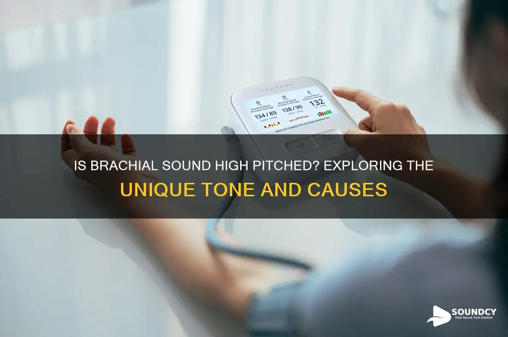 is brachial sound high pitched