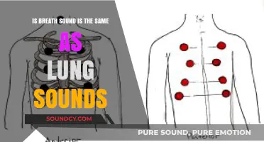 Exploring the Nuances: Breath Sounds vs. Lung Sounds