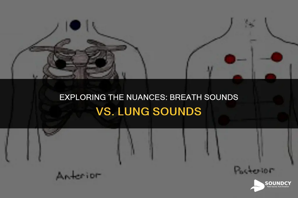 is breath sound is the same as lung sounds
