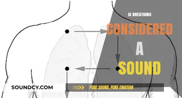 Is Breathing a Sound? Exploring the Audible Nature of Respiration