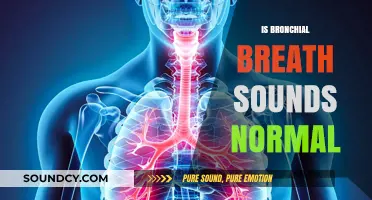 Are Bronchial Breath Sounds Normal? Understanding Respiratory Health