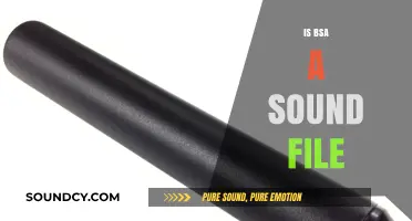 Is BSA a Sound File? Understanding Its Role in Audio Technology