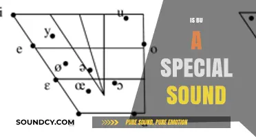 Is 'Bu' a Special Sound? Exploring Its Unique Linguistic Qualities