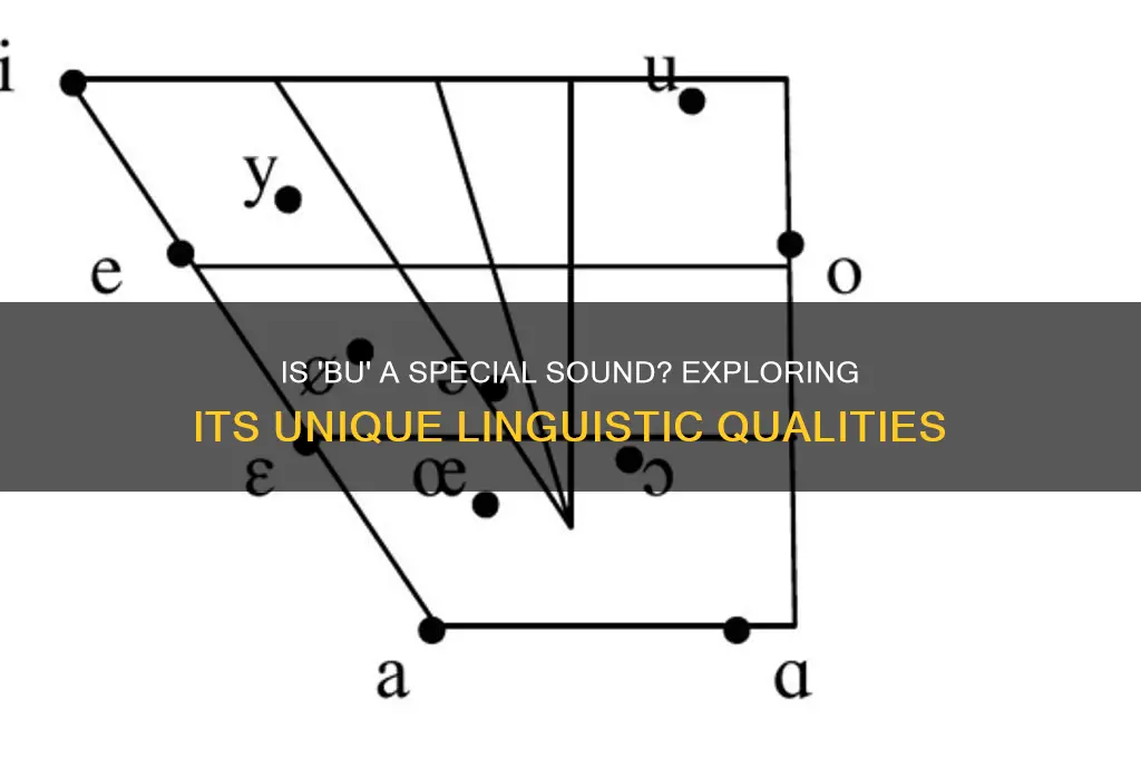 is bu a special sound
