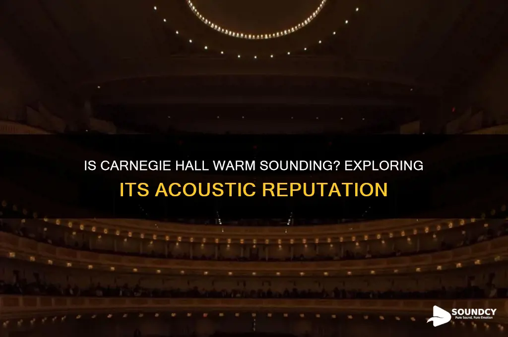 is carnegie hall warm sounding