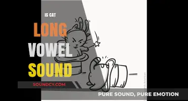 Is the 'Cat' Vowel Sound Long? Exploring Phonetics in English Words