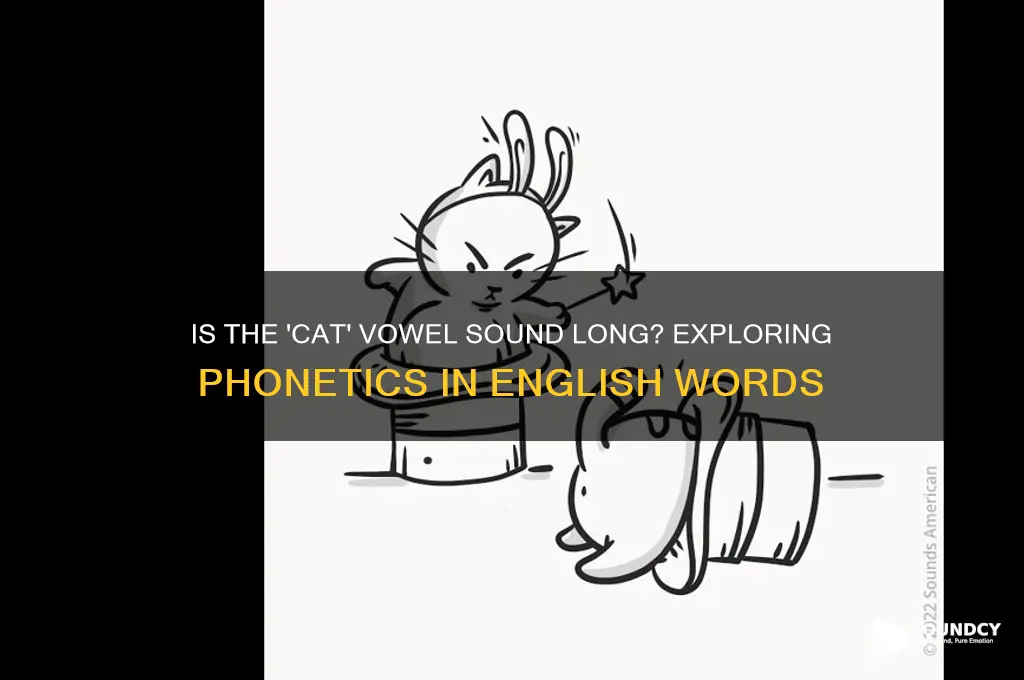 is cat long vowel sound
