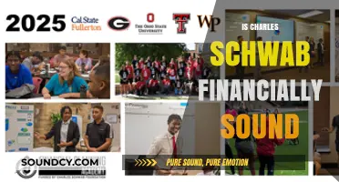 Is Charles Schwab Financially Sound? A Comprehensive Financial Health Analysis