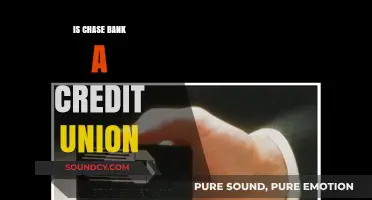 Chase Bank: Credit Union or Commercial Bank?