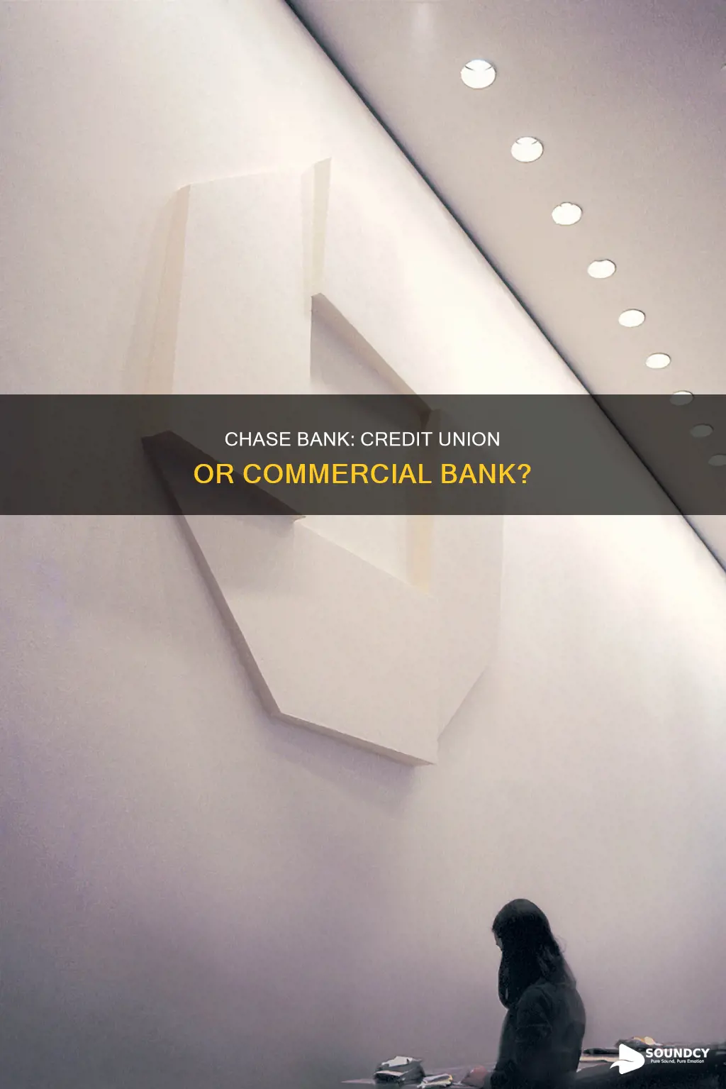 is chase bank a credit union