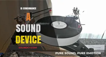 Is Consonance a Sound Device? Exploring Its Role in Poetry and Prose