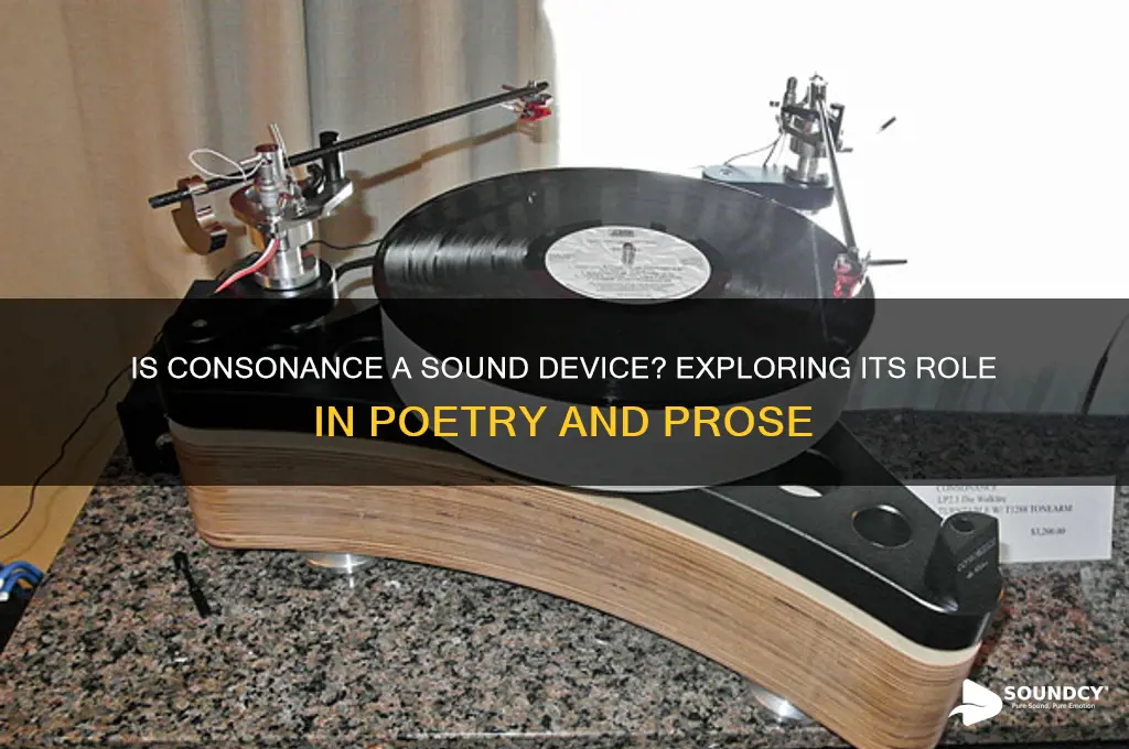 is consonance a sound device