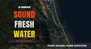 Is Currituck Sound Fresh Water? Unraveling the Mystery of Its Salinity