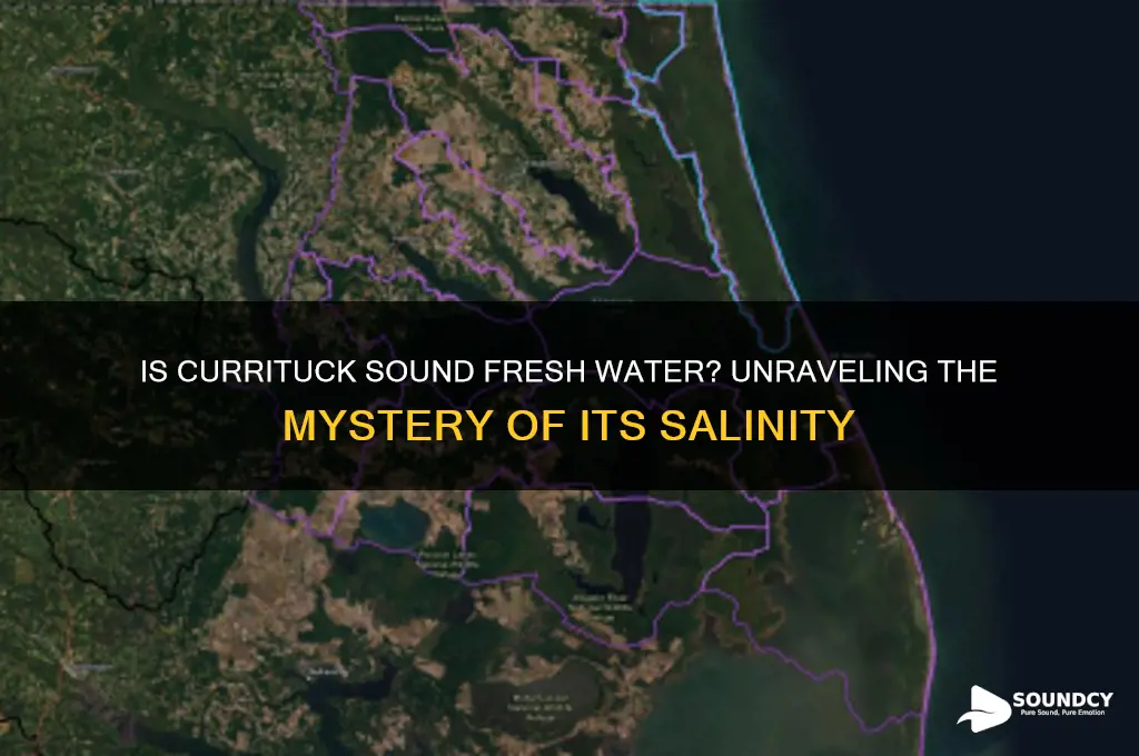 is currituck sound fresh water