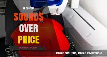 Are Custom Sounds Worth the High Price Tag? A Deep Dive