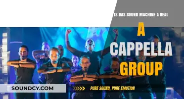 Unmasking the Mystery: Is Das Sound Machine a Genuine A Cappella Group?