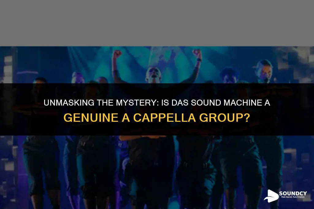 is das sound machine a real a cappella group