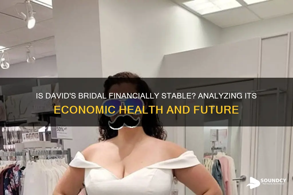 is davids bridal financially sound