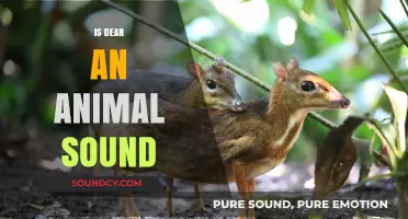 Is 'Dear' an Animal Sound? Unraveling the Myth and Meaning
