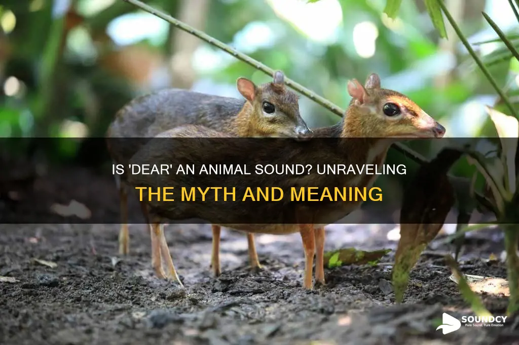 is dear an animal sound