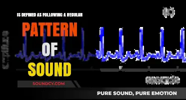 Exploring the Rhythmic Patterns of Sound in Music and Beyond