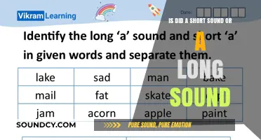 Exploring Phonetics: The Intricacies of Short vs. Long Sounds