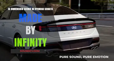 Exploring the Sonic Dimensions: Infinity's Touch in Hyundai Sonata