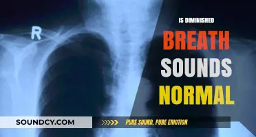 Are Diminished Breath Sounds Normal? Understanding Respiratory Health Concerns