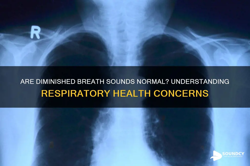 is diminished breath sounds normal