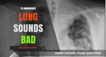 Understanding Diminished Lung Sounds: Causes, Concerns, and When to Seek Help