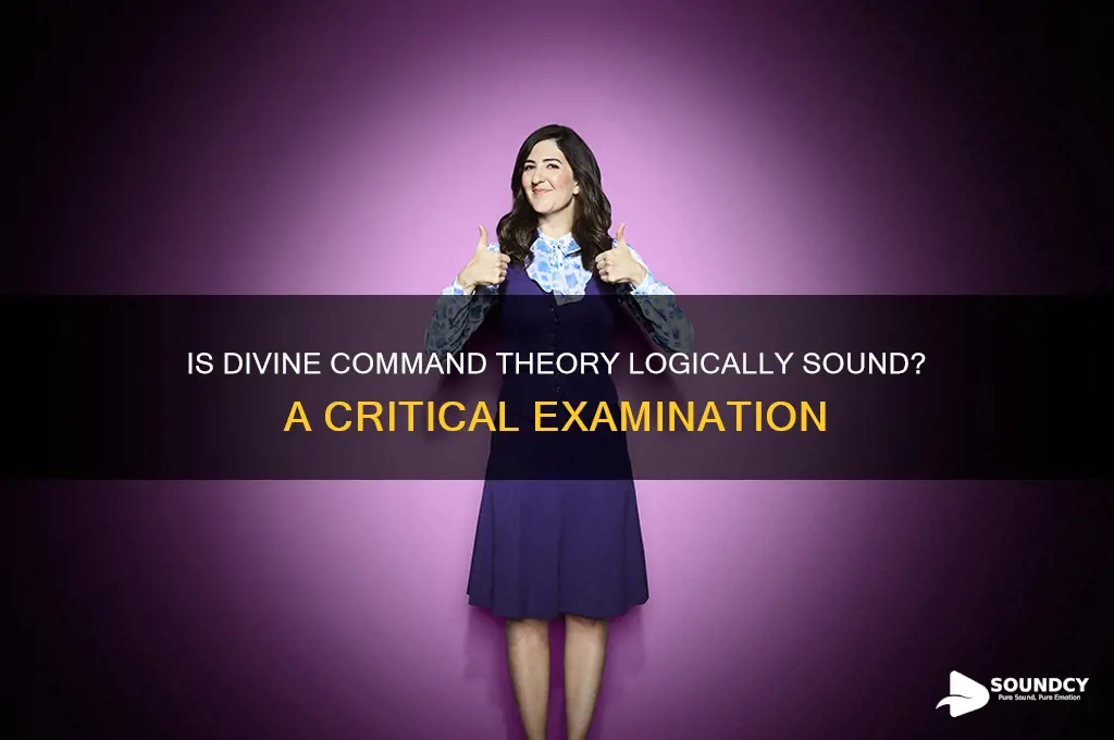 is divine command thoery sound