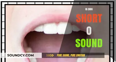 Understanding the Short 'O' Sound in Dog: A Phonics Guide