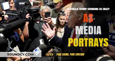 Decoding Donald Trump: Media Perception vs. Reality
