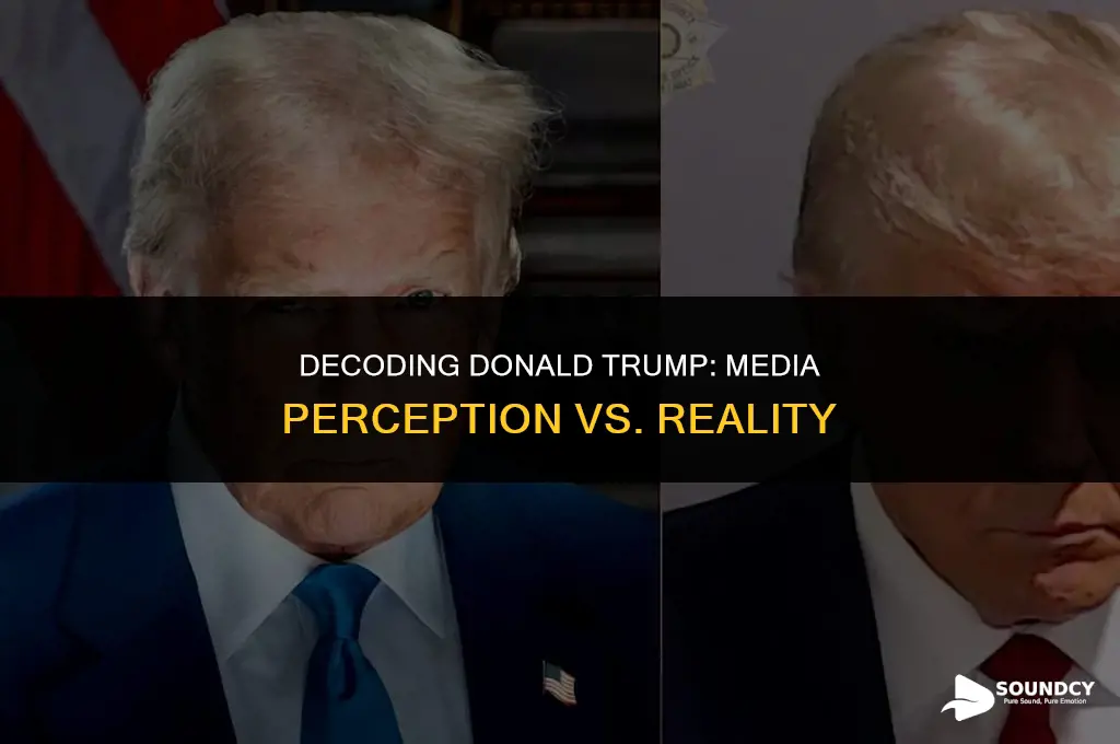 is donald trump sounding as crazy as media portrays