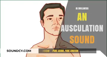 Is Dullness an Auscultation Sound? Understanding Lung and Heart Tones