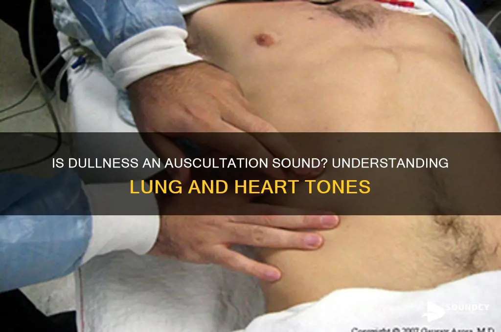 is dullness an ausculation sound