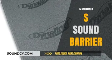 Dynaliner S: Effective Sound Barrier Solution for Noise Reduction?