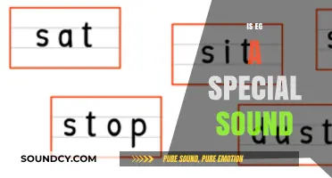 Is 'Eg' a Special Sound? Exploring Phonetics and Language Nuances