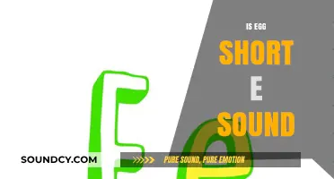 Is Egg a Short E Sound? Decoding Phonics and Pronunciation