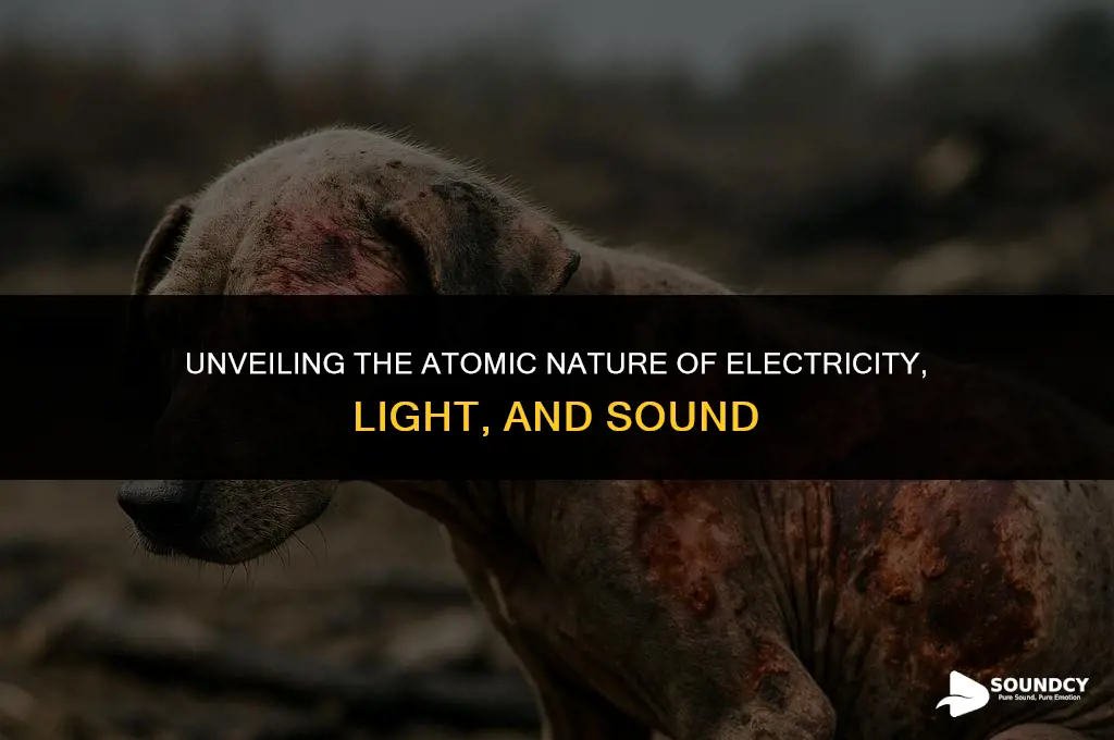 is electricity light and sound made up of atoms