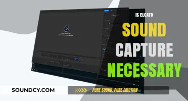 Is Elgato Sound Capture Essential for Your Streaming Setup?