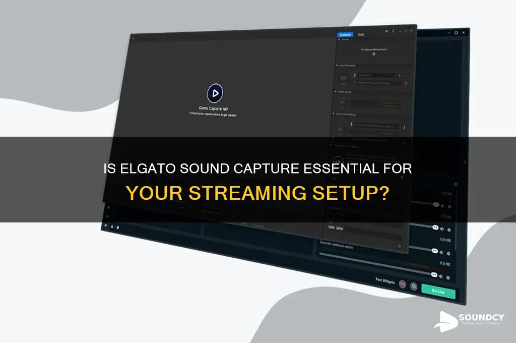 is elgato sound capture necessary