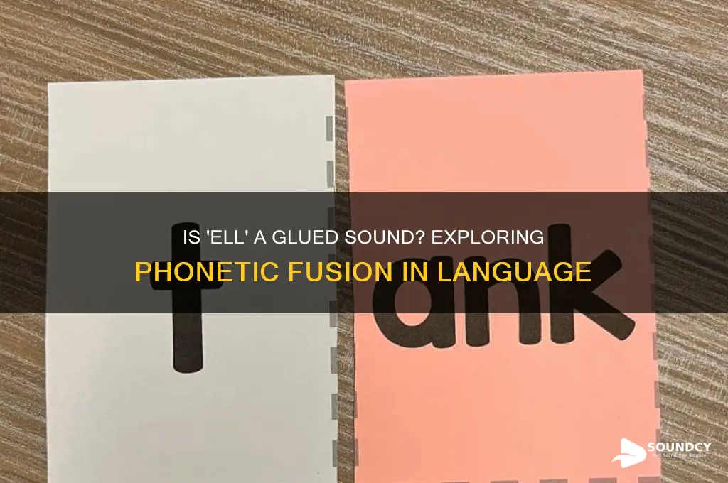 is ell a glued sound