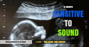 Can Embryos Hear? Exploring Sound Sensitivity in Early Development