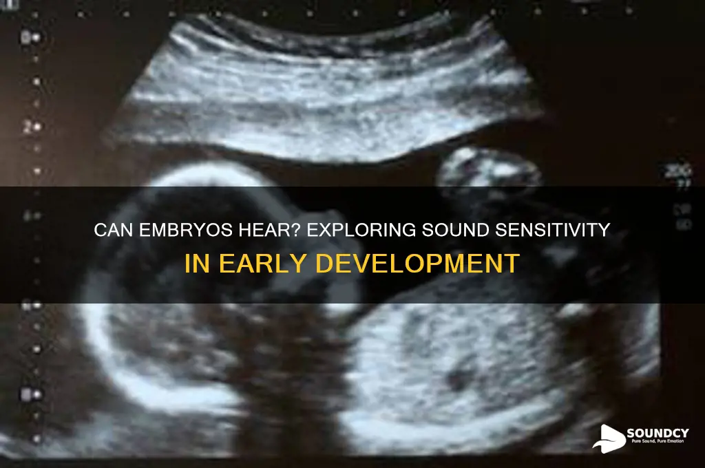 is embryo sensitive to sound