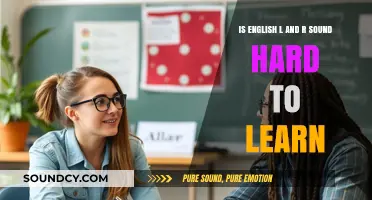 Mastering the Tricky English 'L' and 'R' Sounds: A Learner's Guide