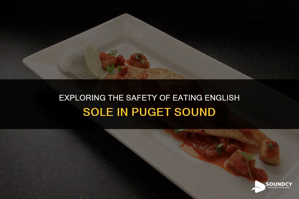 is english sole safe to eat in puget sound