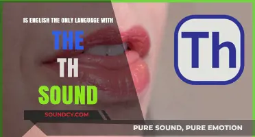 Exploring Phonetics: The Unique 'Th' Sound in English