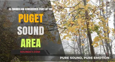 Enumclaw's Place in the Puget Sound Region: A Definitive Guide